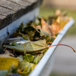 Gutter Cleaning - Residential & Commercial |  Ipswich Flat Roofing  