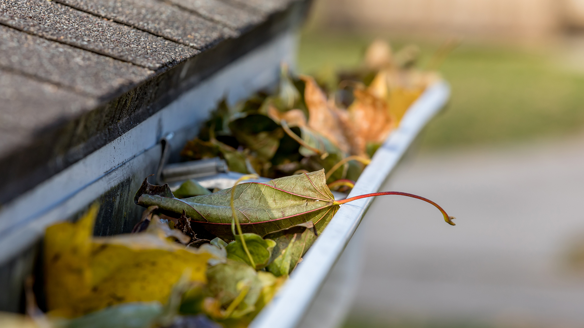 Gutter Cleaning - Residential & Commercial | Ipswich Flat Roofing